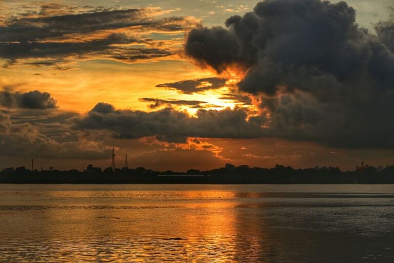 How To Safarkolkata: Mastering Safarkolkata: Your Ultimate Gui…